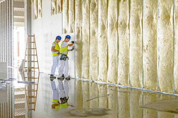 Best Garage Insulation Installation  in Cornish, ME